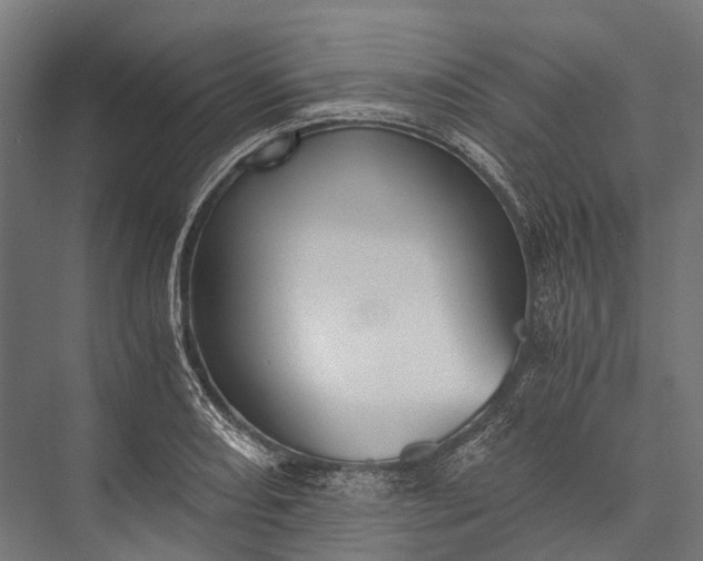 X0000076051082200610061504