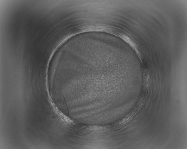 X0000076051088200610061504