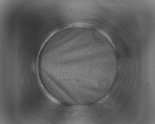 X0000076051091200610061504