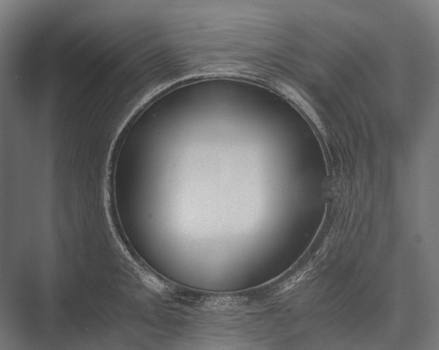 X0000076051093200610061504