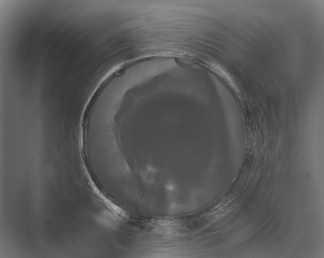 X0000076051095200610061504