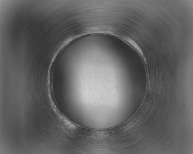 X0000076051096200610061503