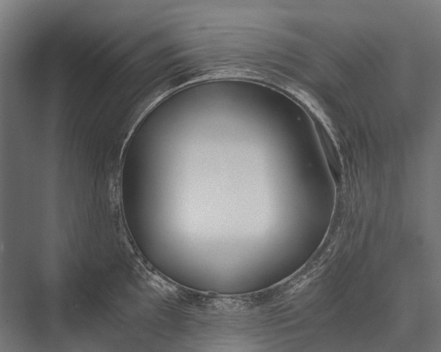 X0000076051097200610061503