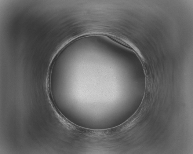 X0000076051101200610061503