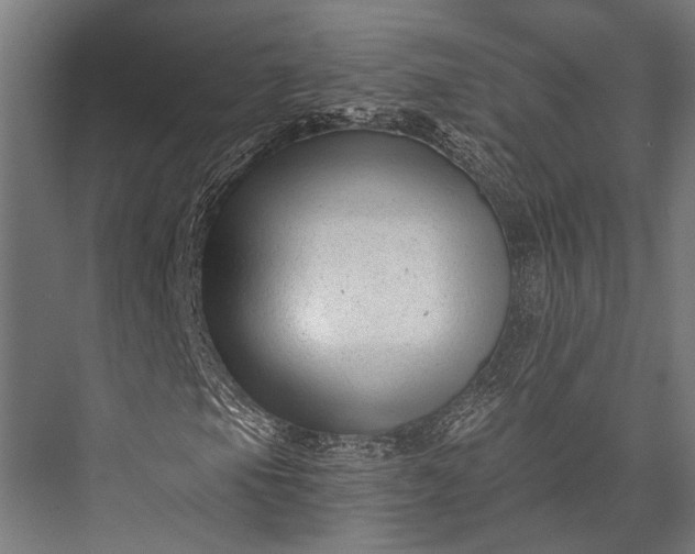 X0000076051105200610061503