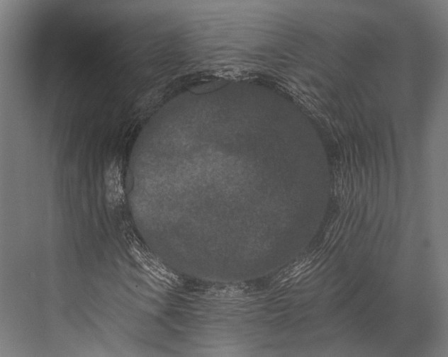 X0000076051106200610061503