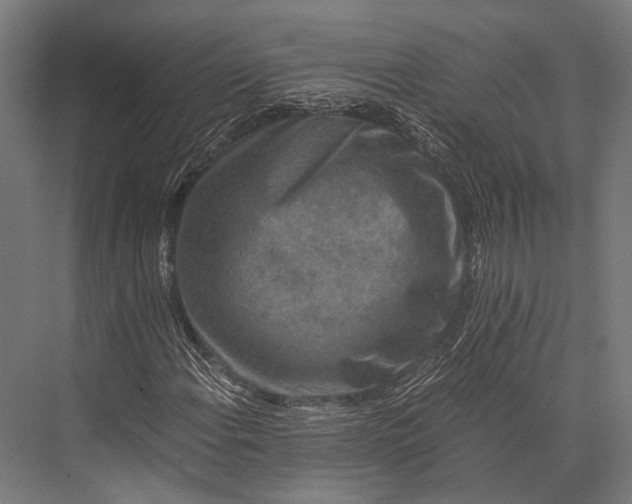 X0000076051108200610061503