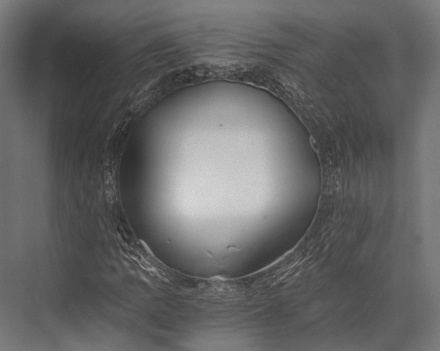 X0000076051109200610061503