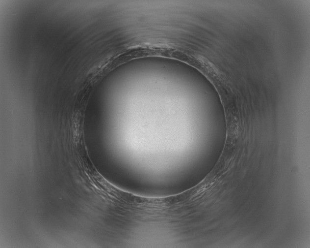 X0000076051110200610061503