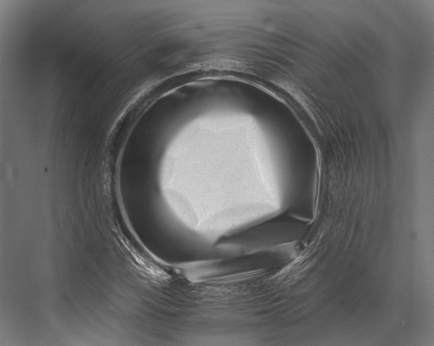 X0000076051115200610061503