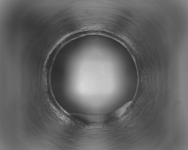 X0000076051118200610061503