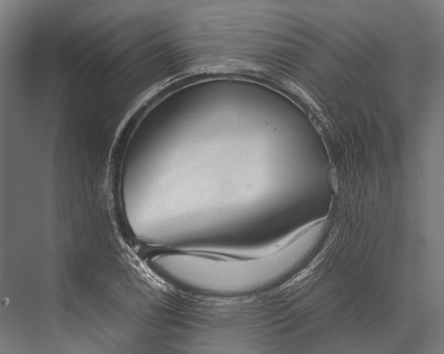 X0000076051122200610061503