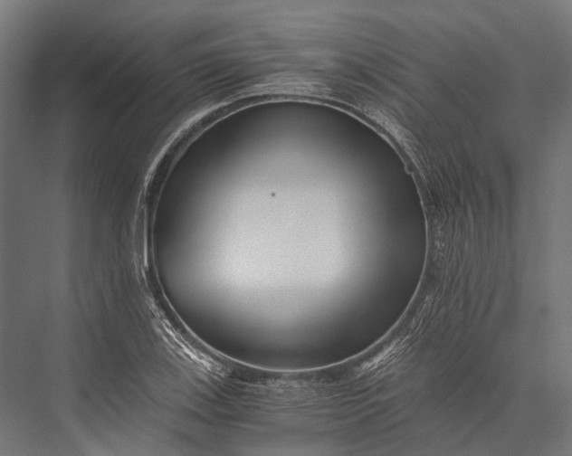 X0000076051123200610061503