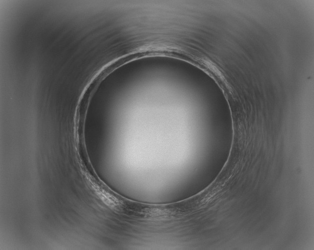 X0000076051124200610061503