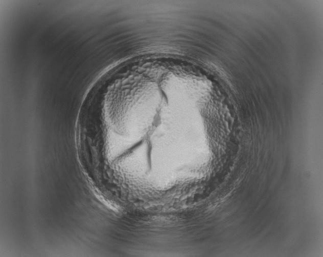 X0000076051125200610061503