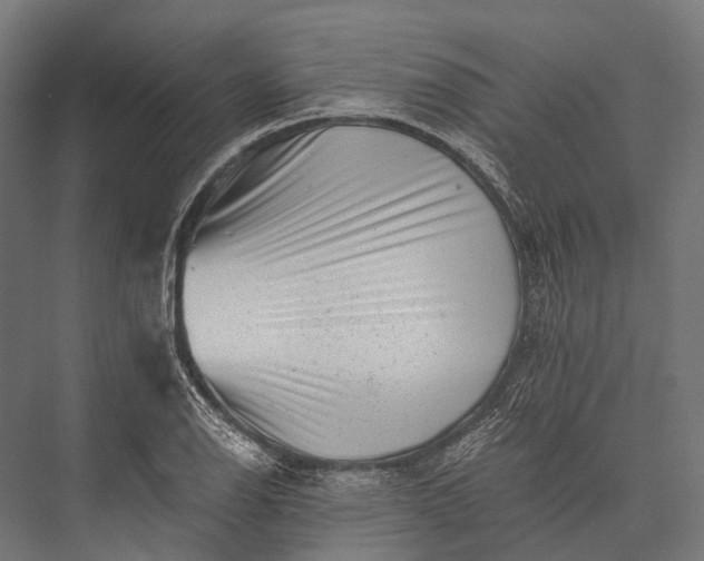 X0000076051126200610061503