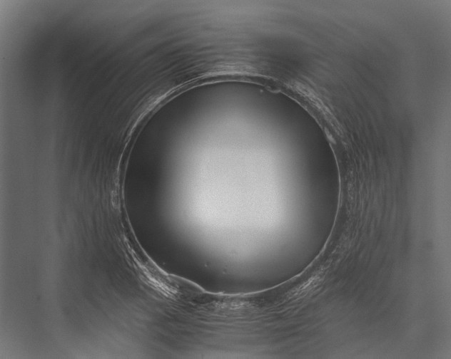 X0000076051129200610061503