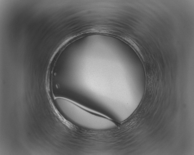 X0000076051131200610061503