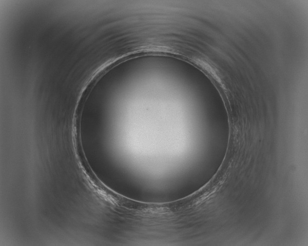 X0000076051133200610061503