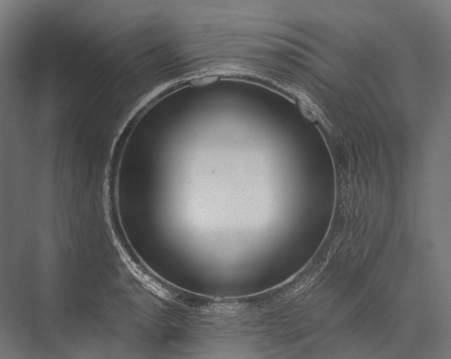 X0000076051134200610061503