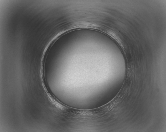 X0000076051136200610061503
