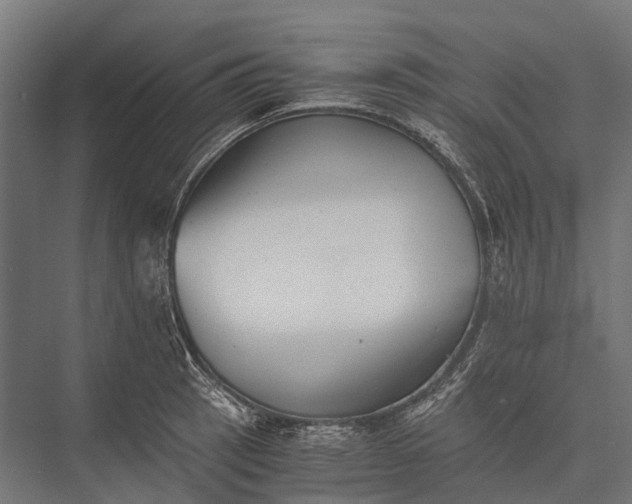 X0000076051137200610061503