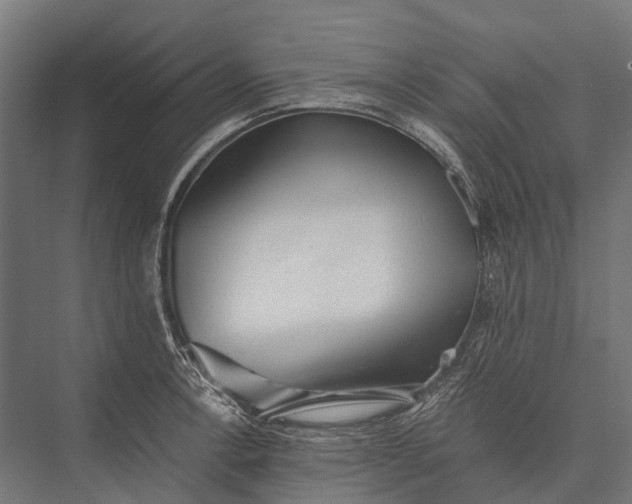 X0000076051138200610061503