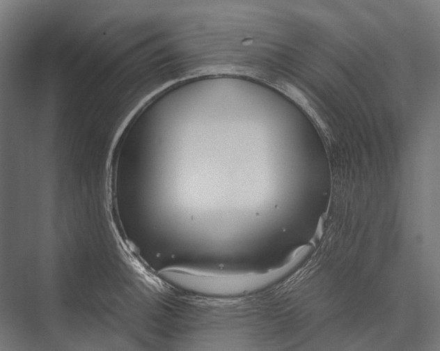 X0000076051140200610061503