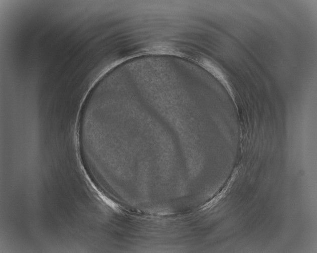 X0000076051141200610061503