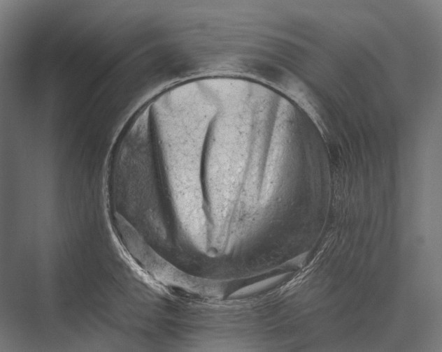 X0000076051142200610061503