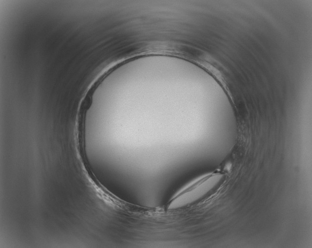 X0000076051147200610061503