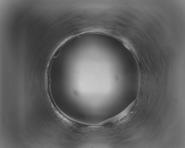 X0000076051151200610061503