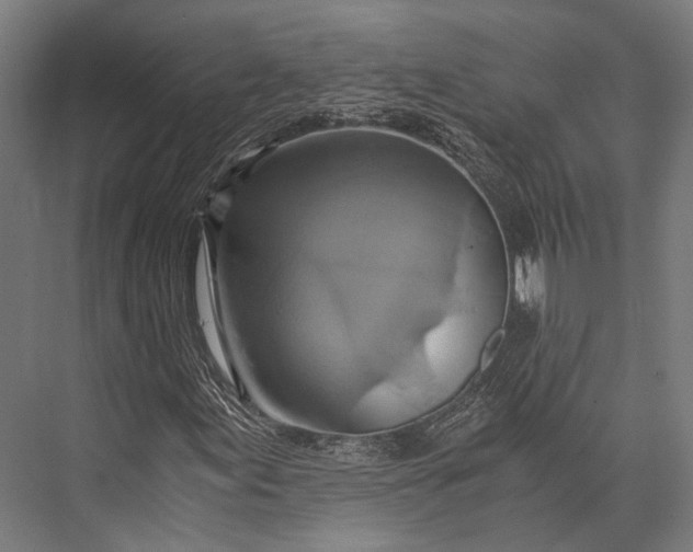 X0000076051155200610061502