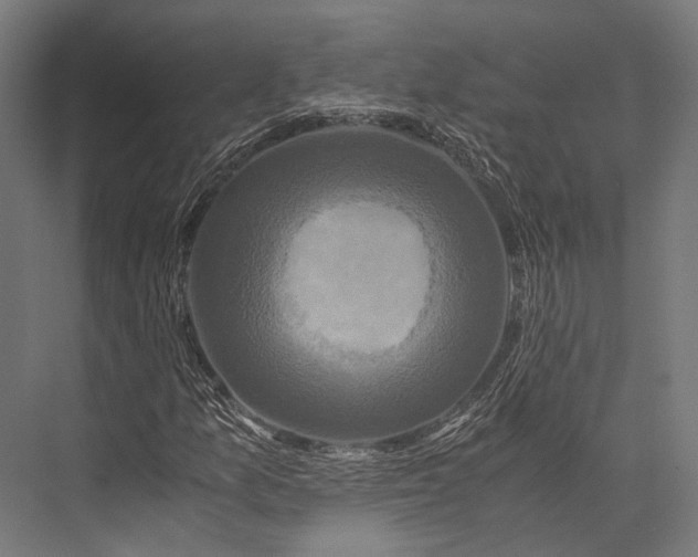X0000076051157200610061502