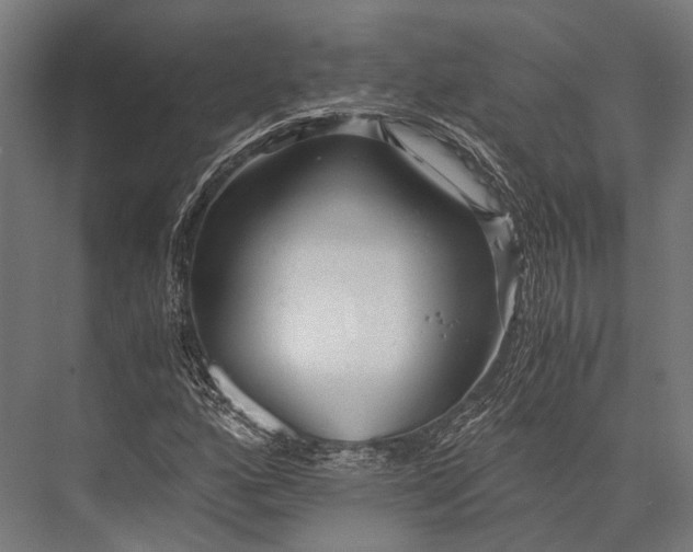 X0000076051160200610061502