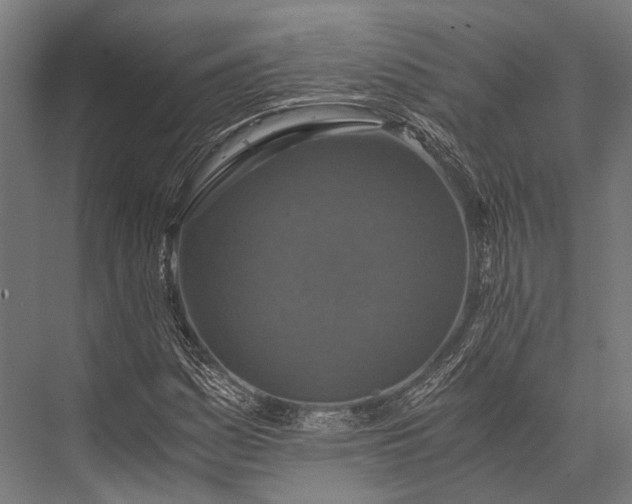 X0000076051161200610061502