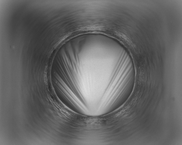 X0000076051162200610061502