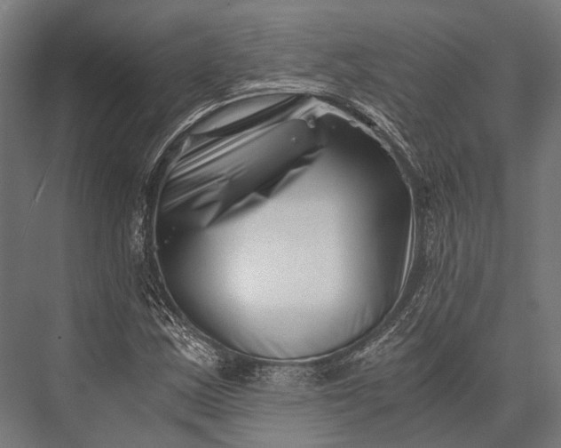 X0000076051163200610061502