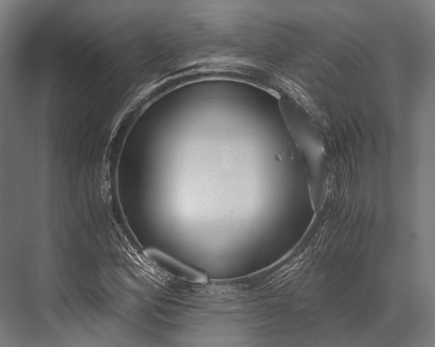 X0000076051164200610061502