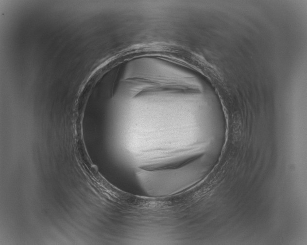 X0000076051166200610061502