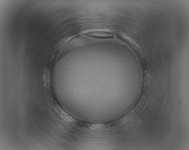 X0000076051169200610061502