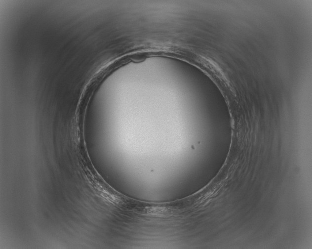 X0000076051172200610061502