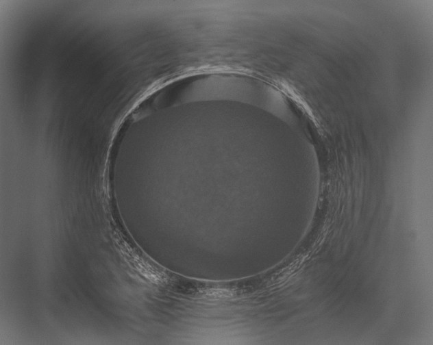 X0000076051173200610061502