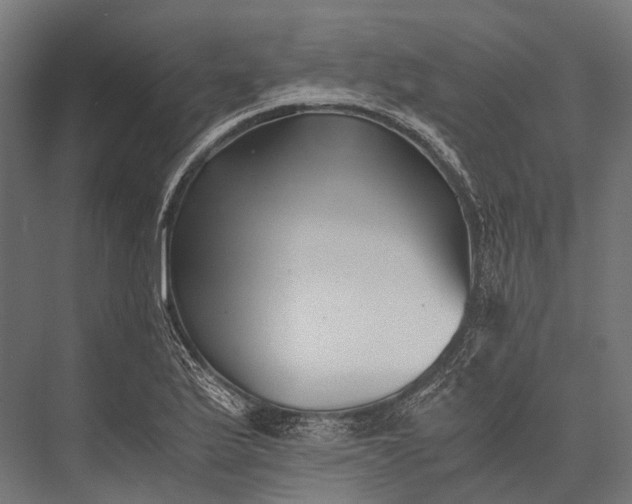 X0000076051175200610061502