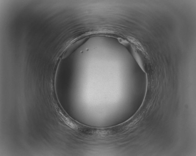 X0000076051177200610061502