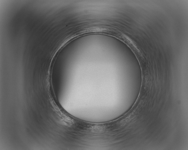 X0000076051178200610061502
