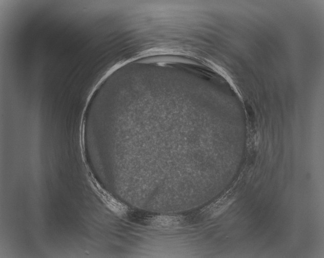 X0000076051179200610061502