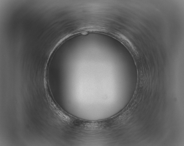 X0000076051182200610061502