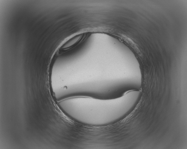 X0000076051184200610061502