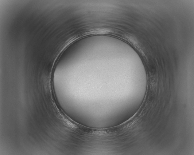 X0000076051186200610061502